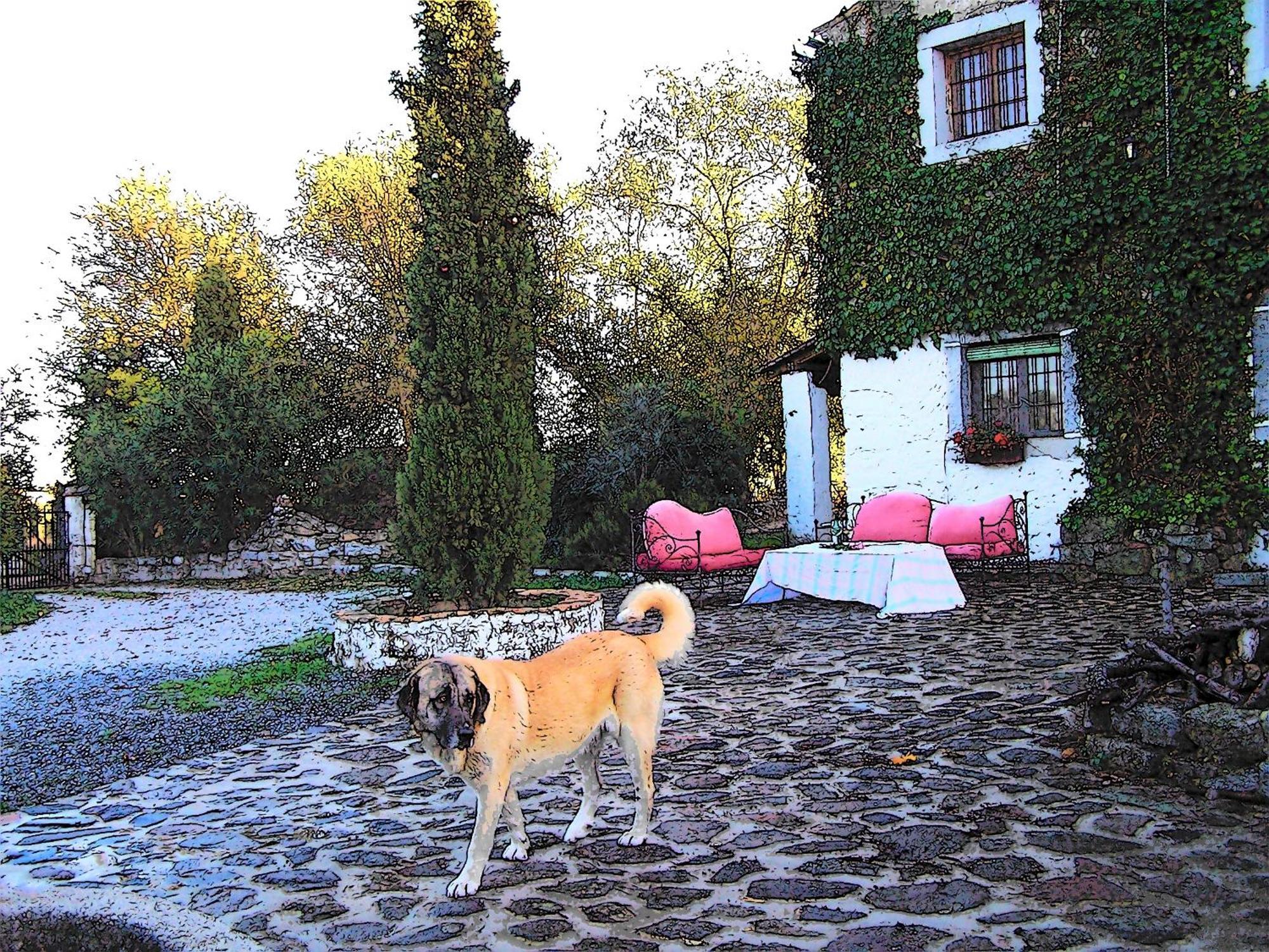 Casa Rural Cortijo Del Zoco Bajo Pozoblanco Esterno foto